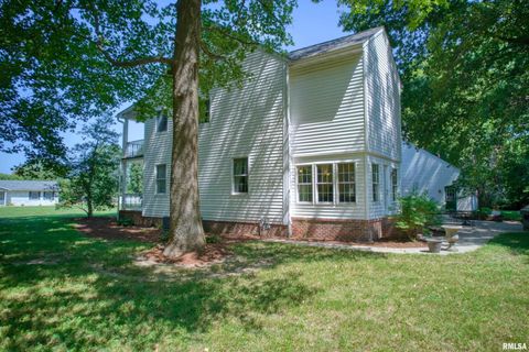 Tiny photo for 267 BRIAN Avenue, Murphysboro, IL 62966 (MLS # EB459329)