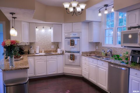 Tiny photo for 267 BRIAN Avenue, Murphysboro, IL 62966 (MLS # EB459329)