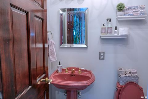 Tiny photo for 267 BRIAN Avenue, Murphysboro, IL 62966 (MLS # EB459329)