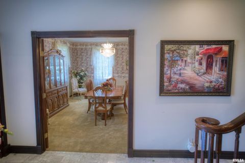 Tiny photo for 267 BRIAN Avenue, Murphysboro, IL 62966 (MLS # EB459329)