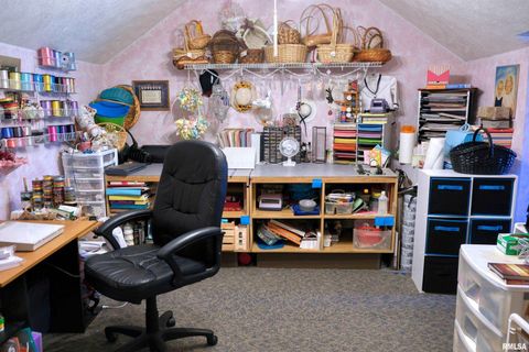 Tiny photo for 267 BRIAN Avenue, Murphysboro, IL 62966 (MLS # EB459329)