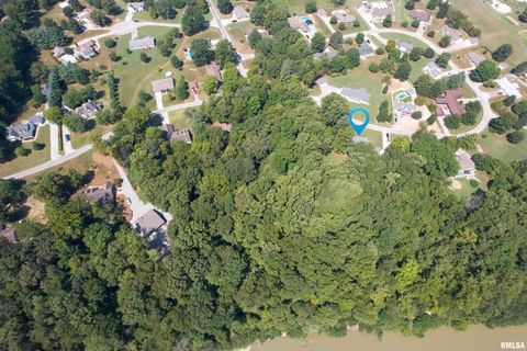 Tiny photo for 267 BRIAN Avenue, Murphysboro, IL 62966 (MLS # EB459329)
