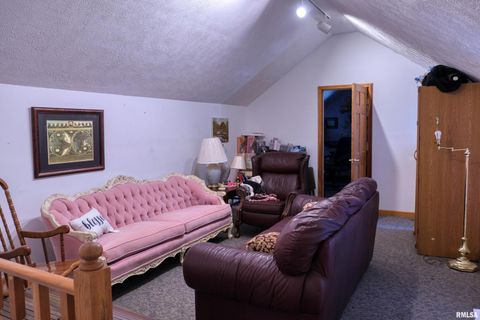 Tiny photo for 267 BRIAN Avenue, Murphysboro, IL 62966 (MLS # EB459329)