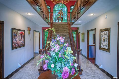 Tiny photo for 267 BRIAN Avenue, Murphysboro, IL 62966 (MLS # EB459329)