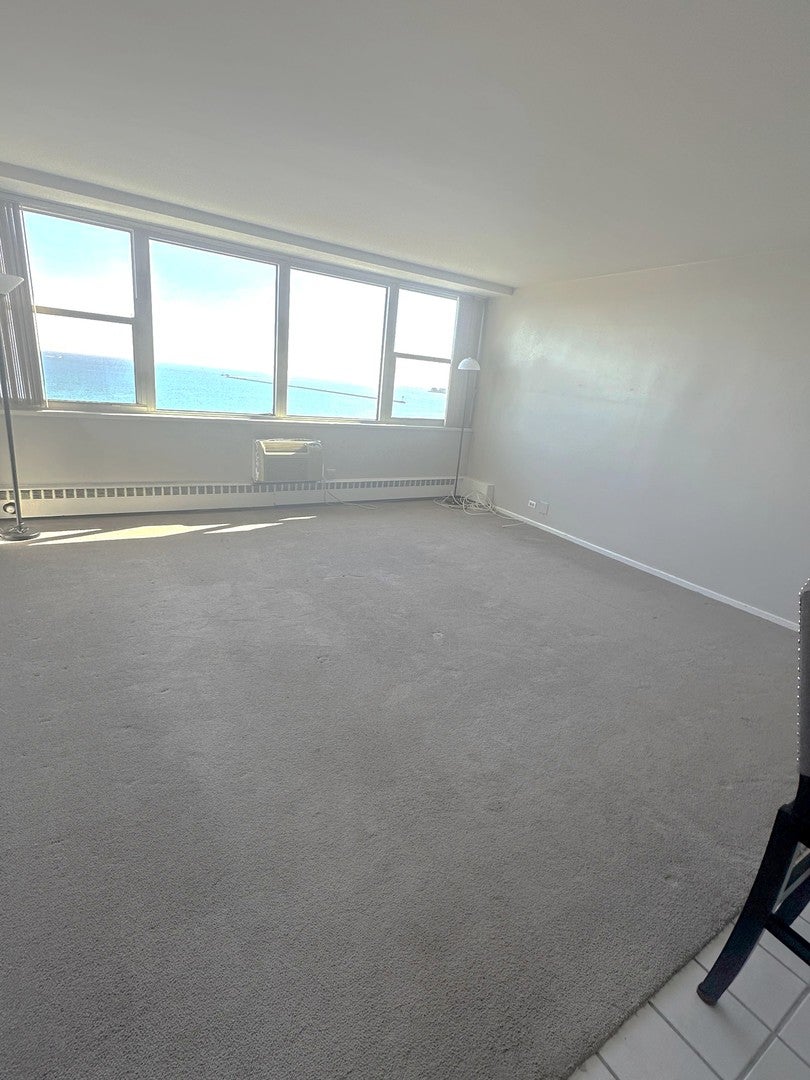 1150 N Lake Shore Drive 8B