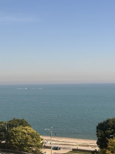 Tiny photo for 1150 N Lake Shore Drive #8B, Chicago, IL 60611 (MLS # 12769429)