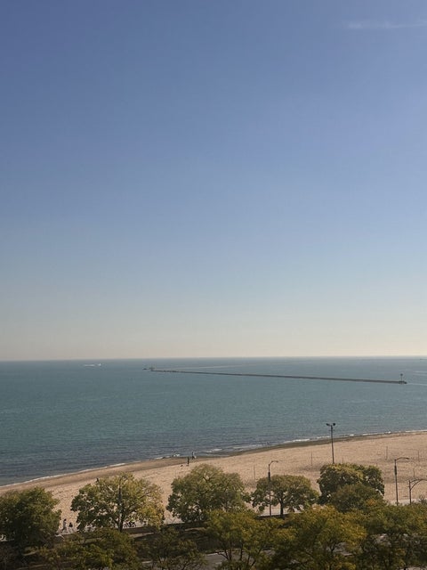 Tiny photo for 1150 N Lake Shore Drive #8B, Chicago, IL 60611 (MLS # 12769429)