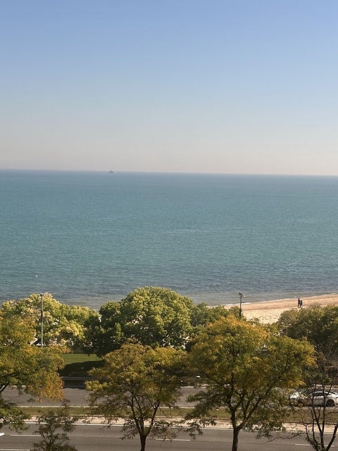Tiny photo for 1150 N Lake Shore Drive #8B, Chicago, IL 60611 (MLS # 12769429)