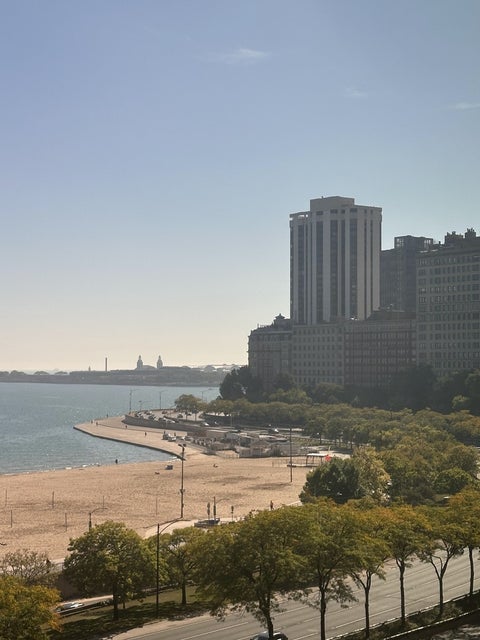 Tiny photo for 1150 N Lake Shore Drive #8B, Chicago, IL 60611 (MLS # 12769429)