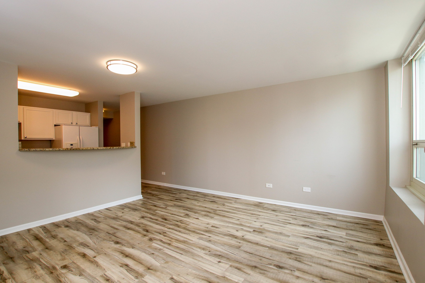 345 N LaSalle Drive 2009