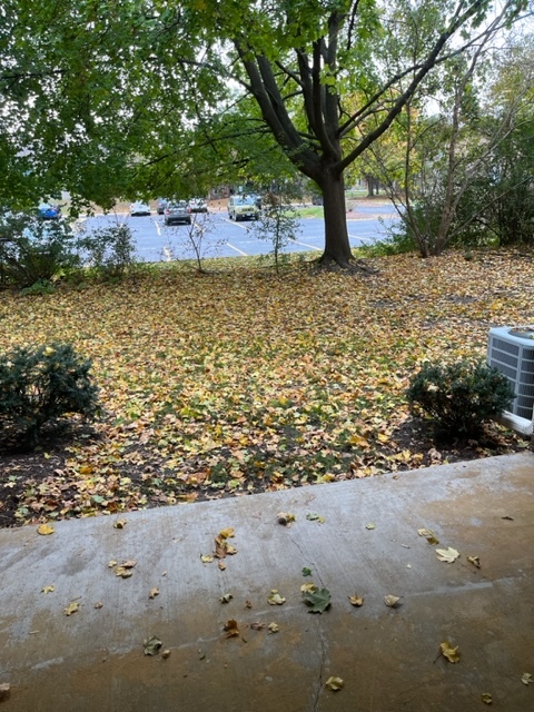 Roselle, Illinois 60172, United States, 2 Bedrooms Bedrooms, ,2 BathroomsBathrooms,Residential,Active,195526