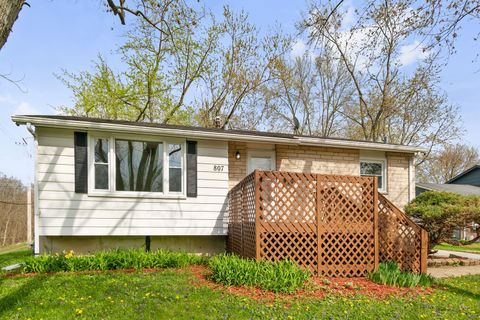 807 Blackhawk Drive University Park IL 60484