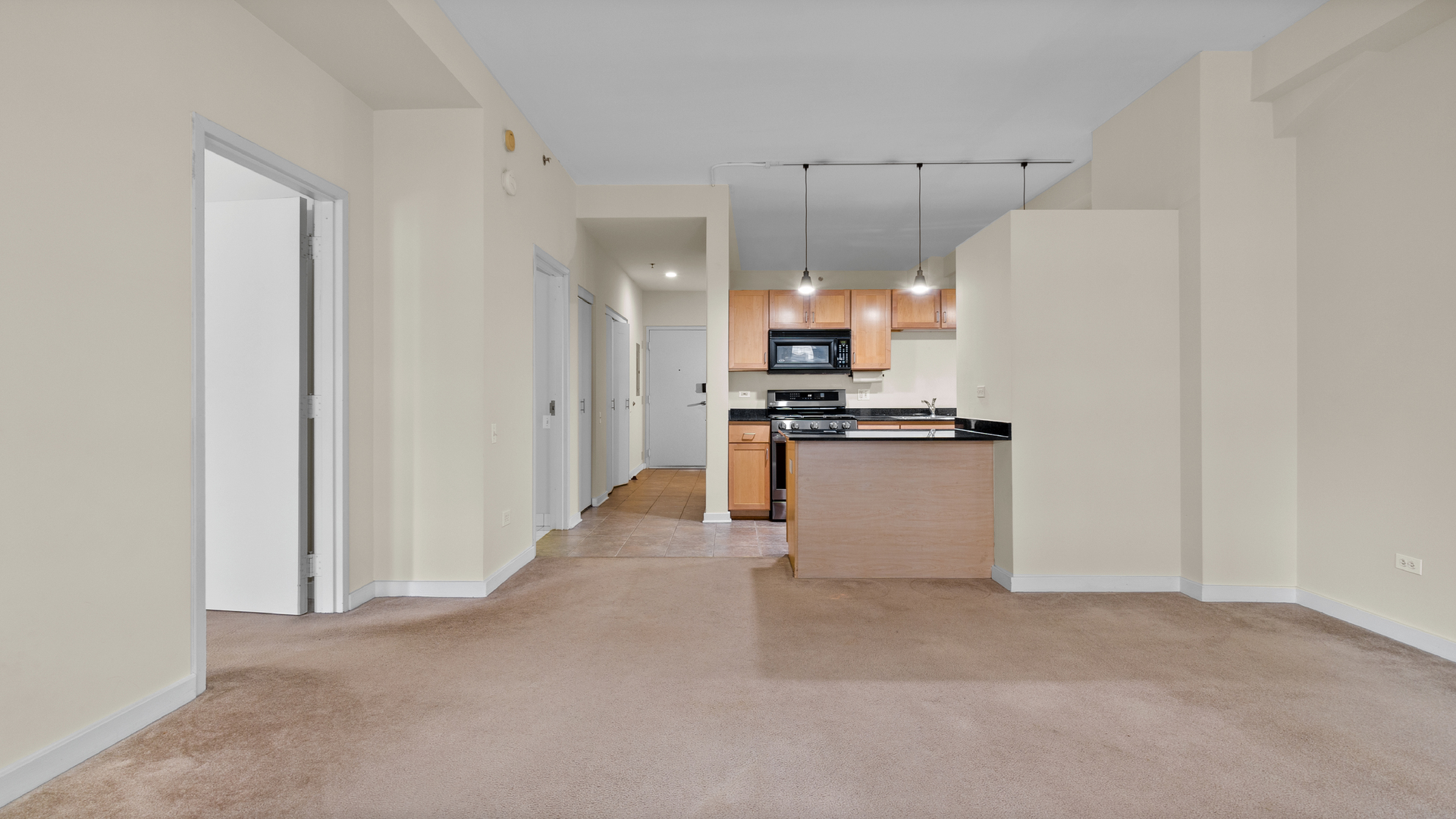 5 N Wabash Avenue 1204