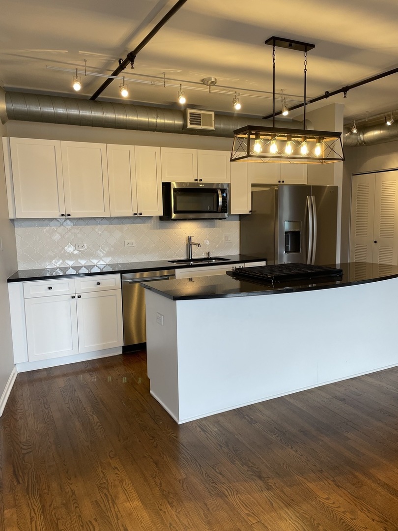 1735 W Diversey Parkway 205