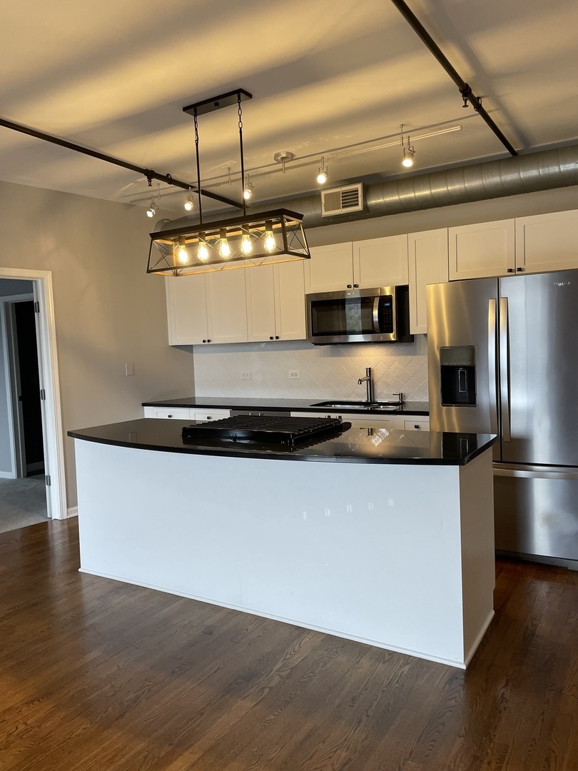 1735 W Diversey Parkway 205