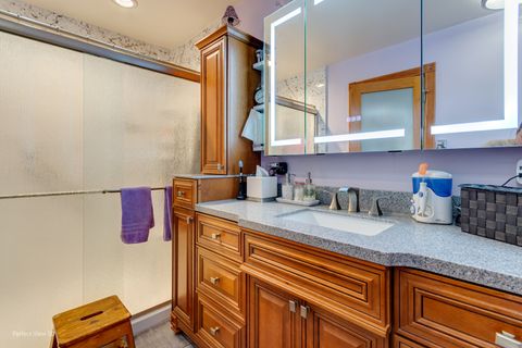 Tiny photo for 2858 E Bending Creek Trail, Crete, IL 60417 (MLS # 12492495)