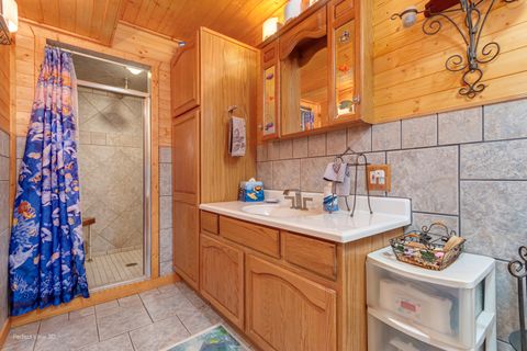 Tiny photo for 2858 E Bending Creek Trail, Crete, IL 60417 (MLS # 12492495)
