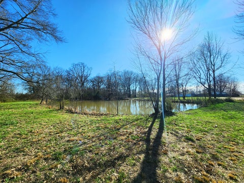 Tiny photo for 5628 Coal Street, Sesser, IL 62884 (MLS # 12735531)