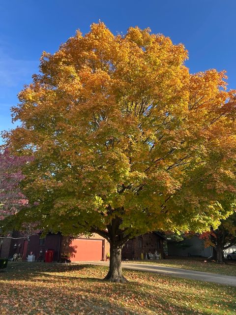 Tiny photo for 2610 Valkar Lane, Champaign, IL 61822 (MLS # 12594659)