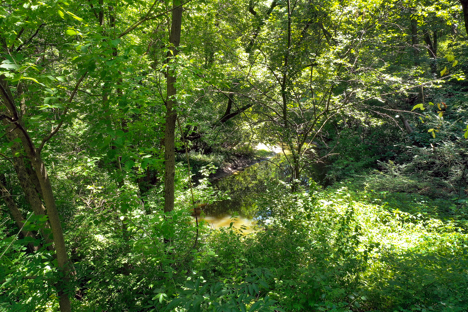 3733 Deerwood Drive