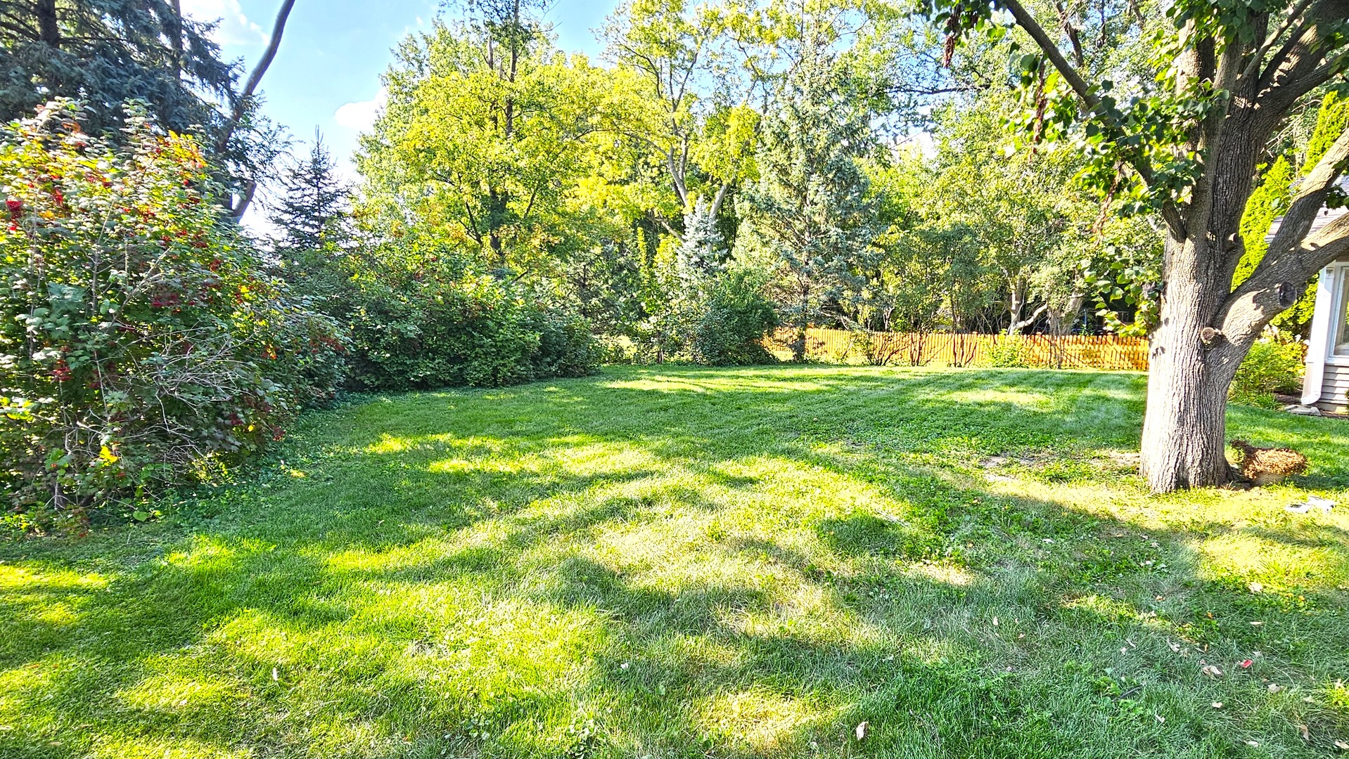 205 N Lincoln Street