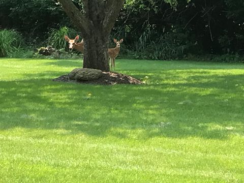 Tiny photo for 5801 Port Clinton Road, Long Grove, IL 60047 (MLS # 12545493)