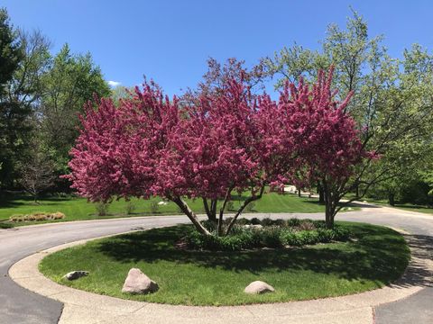 Tiny photo for 5801 Port Clinton Road, Long Grove, IL 60047 (MLS # 12545493)