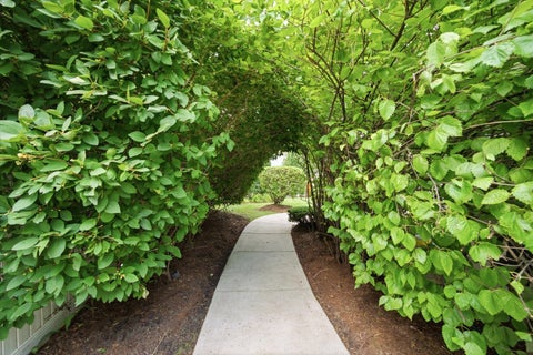 Tiny photo for 626 E Golf Road, Libertyville, IL 60048 (MLS # 12732488)