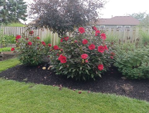 Tiny photo for 871 Brandt Drive, Lake In The Hills, IL 60156 (MLS # 12599254)