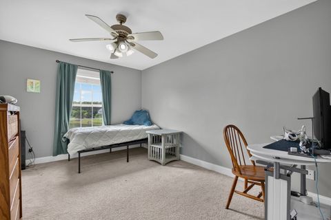 Tiny photo for 2165 Farmstone Drive, Diamond, IL 60416 (MLS # 12690242)