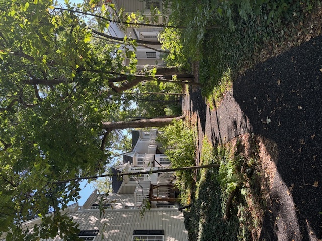 301 W Treehouse Lane 301