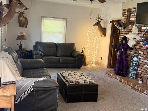 Tiny photo for 204 W Gelston Street, Valier, IL 62891 (MLS # EB459909)