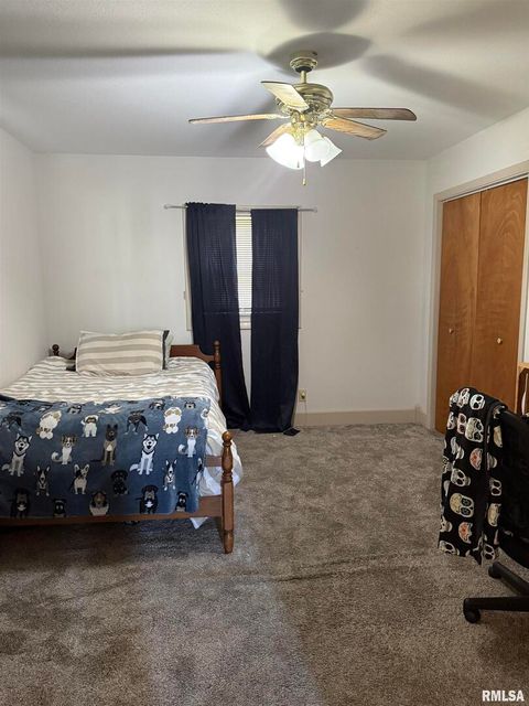 Tiny photo for 204 W Gelston Street, Valier, IL 62891 (MLS # EB459909)