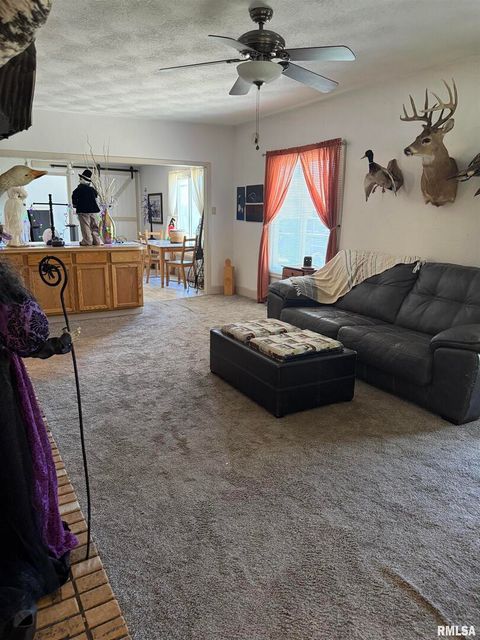 Tiny photo for 204 W Gelston Street, Valier, IL 62891 (MLS # EB459909)