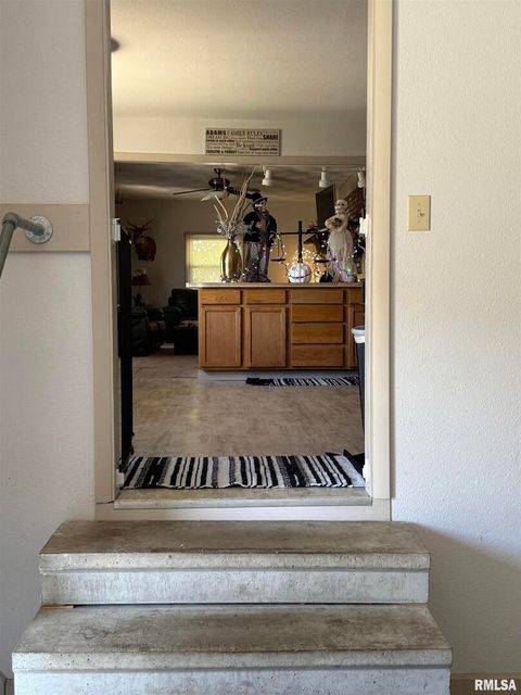 Tiny photo for 204 W Gelston Street, Valier, IL 62891 (MLS # EB459909)