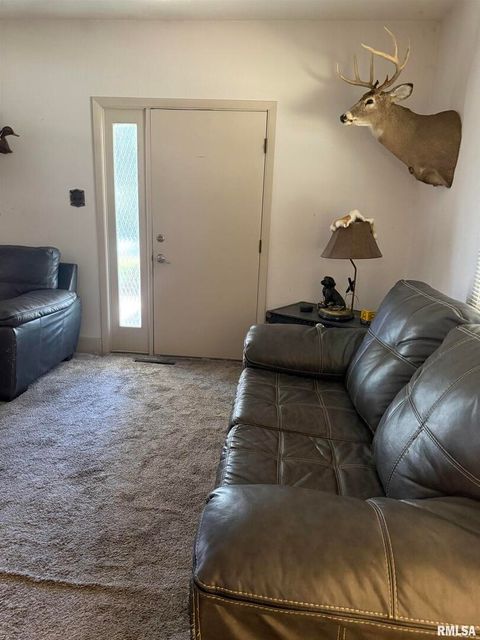 Tiny photo for 204 W Gelston Street, Valier, IL 62891 (MLS # EB459909)