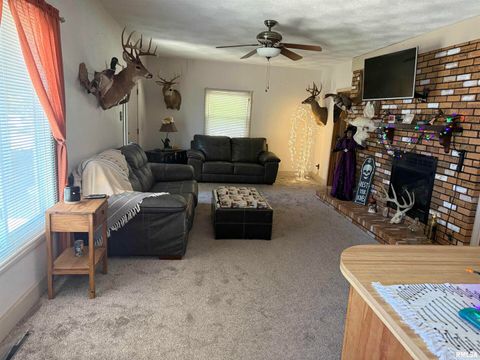 Tiny photo for 204 W Gelston Street, Valier, IL 62891 (MLS # EB459909)