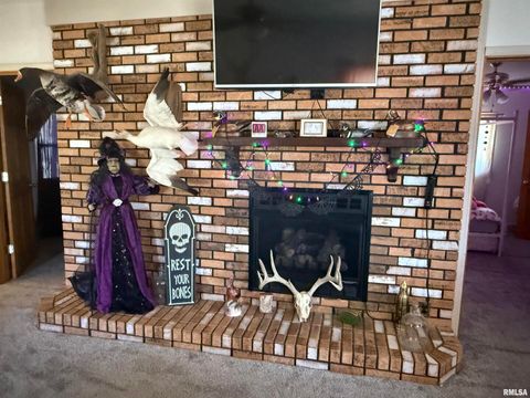 Tiny photo for 204 W Gelston Street, Valier, IL 62891 (MLS # EB459909)