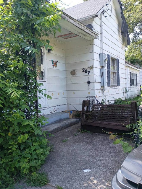 Photo of 207 E Walnut Street, Carrier Mills, IL 62917 (MLS # 12691607)