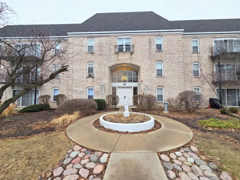 Photo of 5001 Carriage Way Drive #116, Rolling Meadows, IL 60008 (MLS # 12602013)