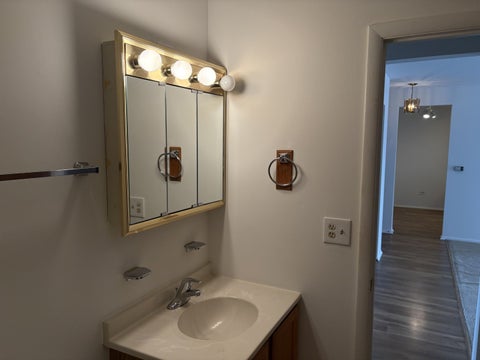Tiny photo for 2424 E Oakton Street #4F, Arlington Heights, IL 60004 (MLS # 12679492)