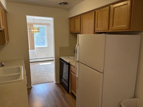Tiny photo for 2424 E Oakton Street #4F, Arlington Heights, IL 60004 (MLS # 12679492)