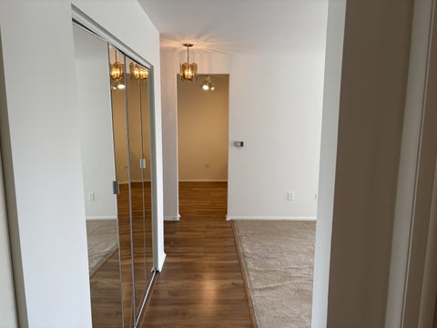 Tiny photo for 2424 E Oakton Street #4F, Arlington Heights, IL 60004 (MLS # 12679492)