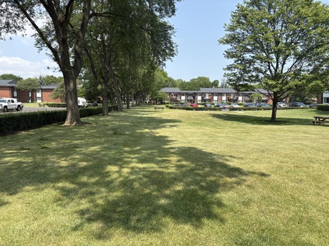 Tiny photo for 2424 E Oakton Street #4F, Arlington Heights, IL 60004 (MLS # 12679492)