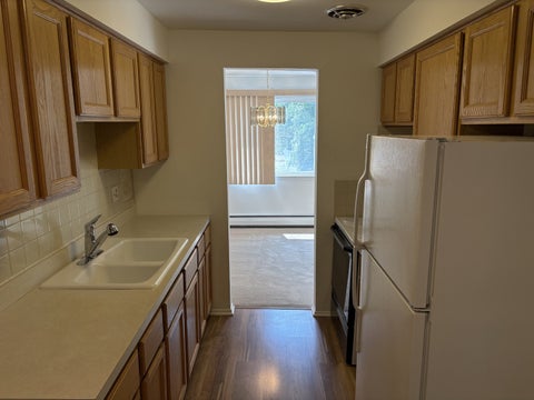 Tiny photo for 2424 E Oakton Street #4F, Arlington Heights, IL 60004 (MLS # 12679492)