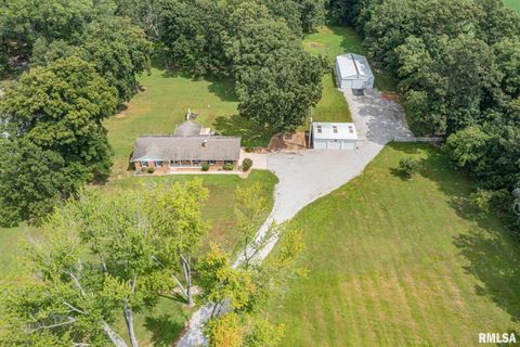 Tiny photo for 1723 WALNUT HILL Road, Centralia, IL 62801 (MLS # EB456630)