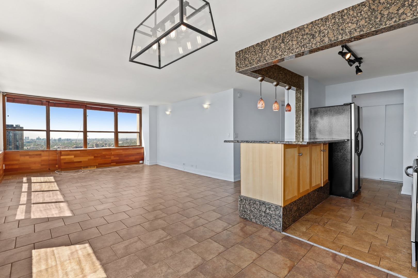 655 W Irving Park Road 4101