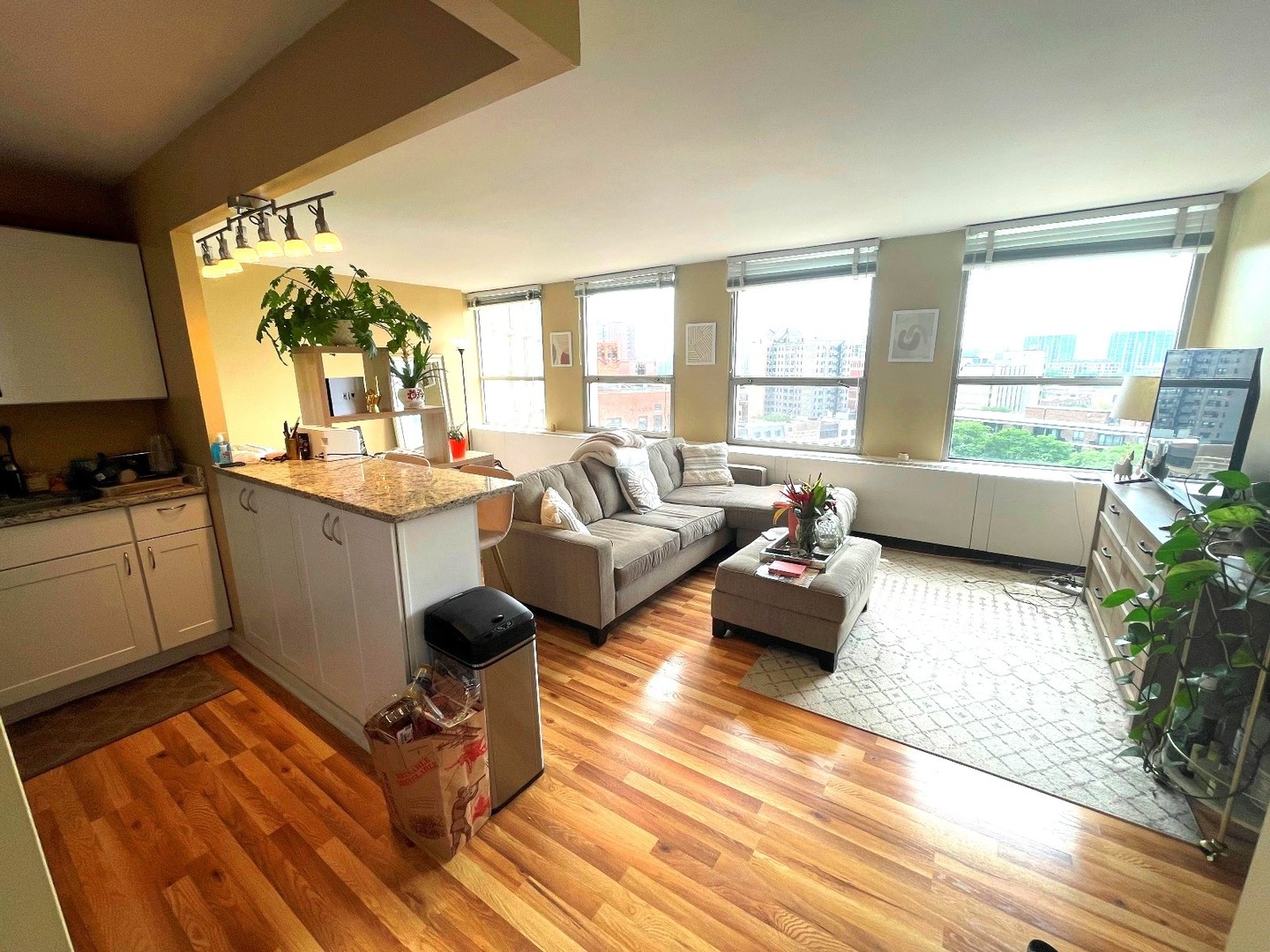 2626 N LAKEVIEW Avenue 1110