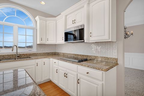 Tiny photo for 22802 Eider Court, Plainfield, IL 60585 (MLS # 12553362)