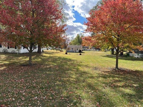Tiny photo for 446 CHESTNUT Street E, Paxton, IL 60957 (MLS # 12750703)